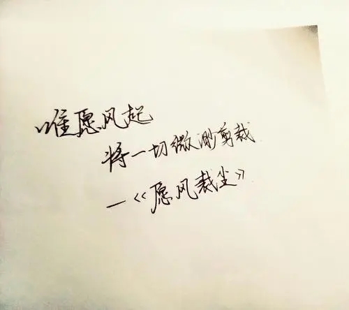 优美句子文案风