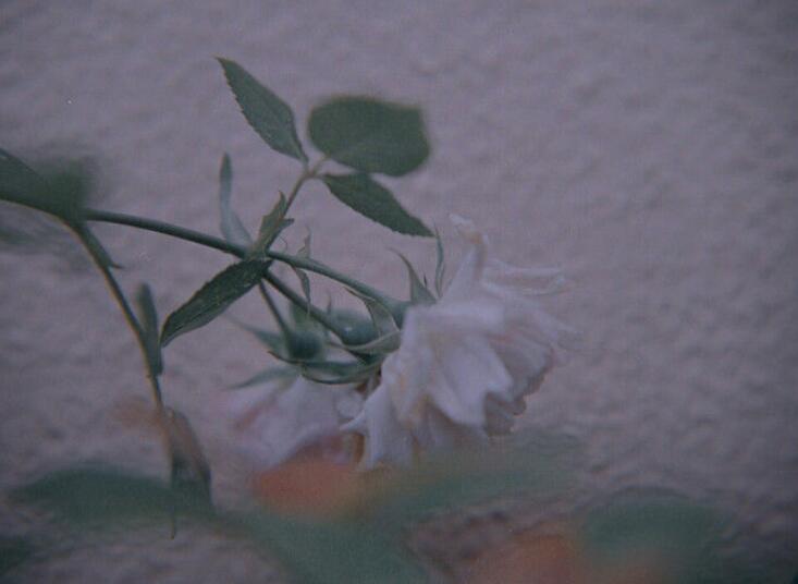 等待换来了失望的句子文案