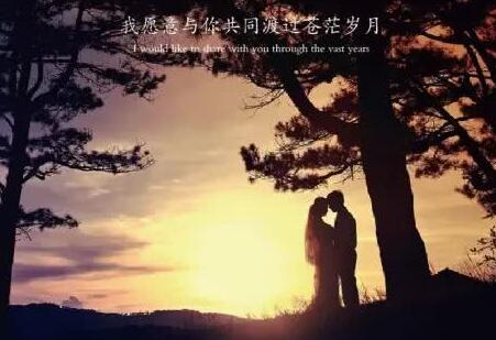 我愿意的唯美句子文案