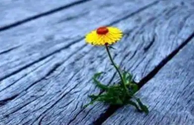 女性奋斗励志语句文案