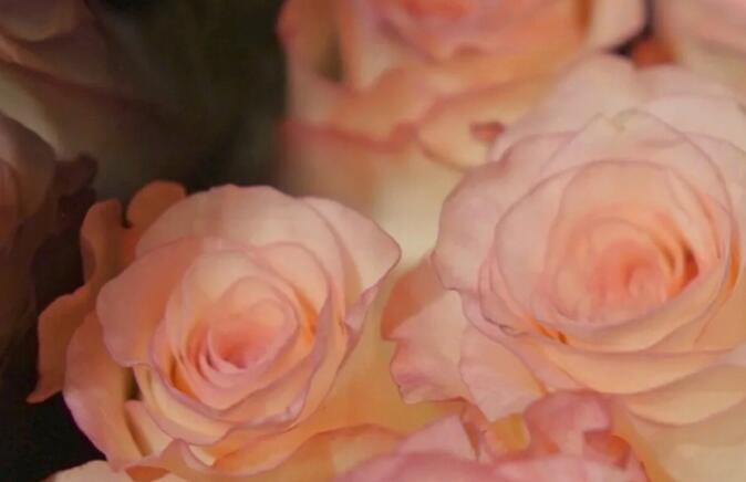 坠入星河的温柔仙句英文文案