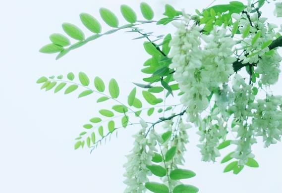 夏天的感受短句