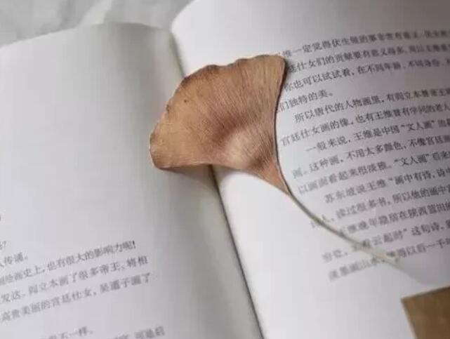 描写一天很短的句子文案