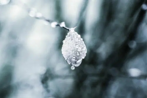 形容霜的句子文案唯美