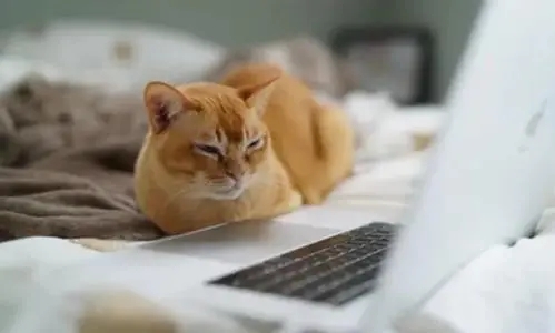 精辟犀利的经典句子文案