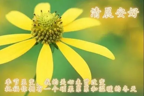 寓意好运的句子文案