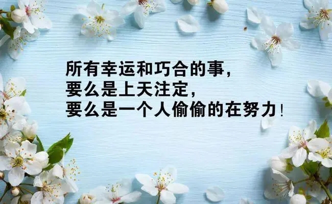 有哲理优美励志的句子文案