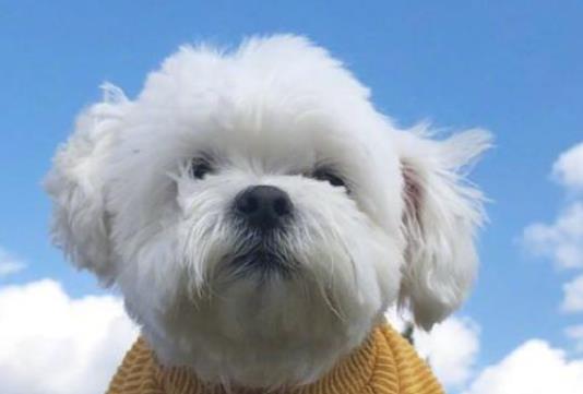 积极励志正能量的句子文案