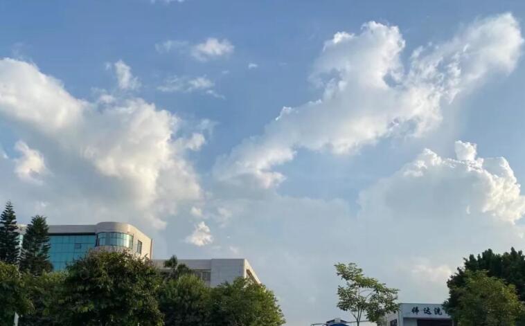 早上给长辈祝福问候语句文案