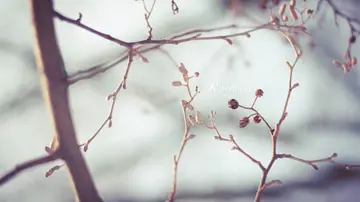 作比较的句子文案怎么写简单