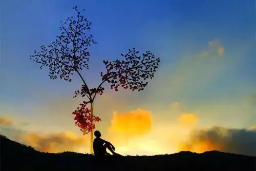 光鲜背后的心酸得句子文案