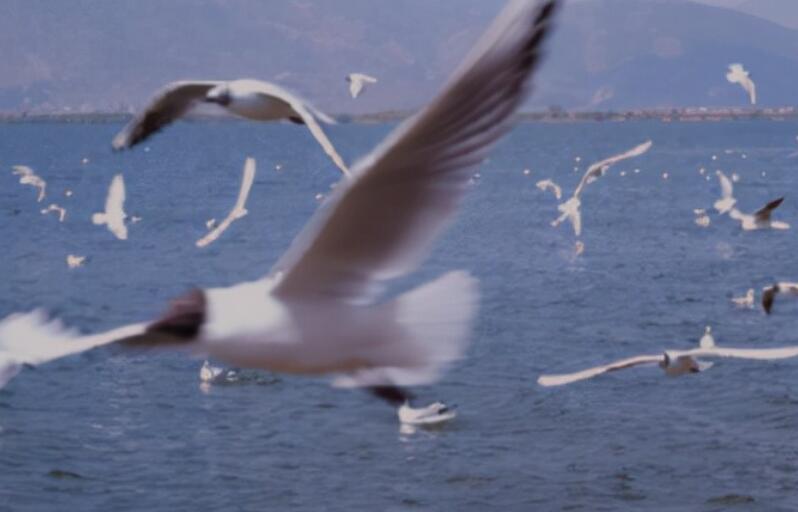 享受惬意清凉的句子文案