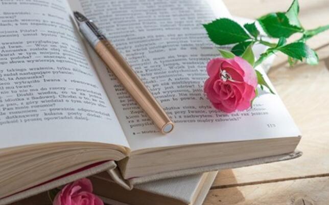 好句文案的感想