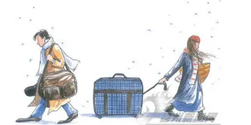 和情人分手后后悔的句子文案