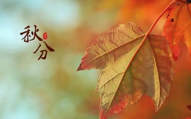有关秋分节气的诗句文案