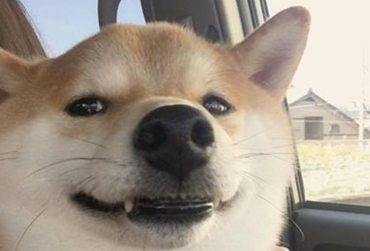 单身可撩的个性签名