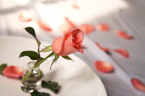 对喜欢的人早安问候语