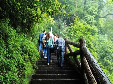 登山释放心情的句子文案