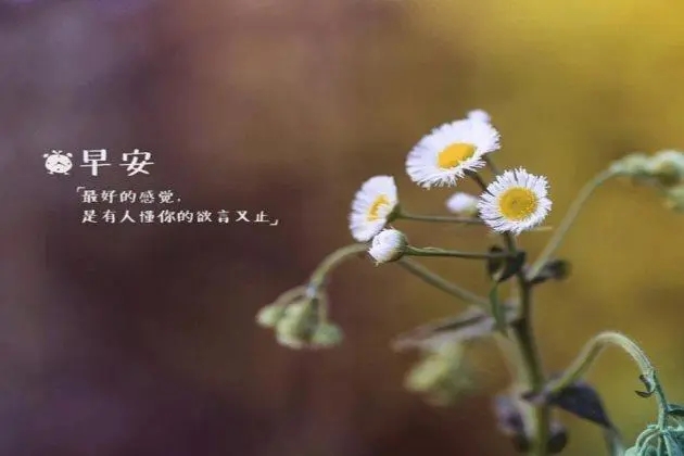 可爱早安心语简单一句话