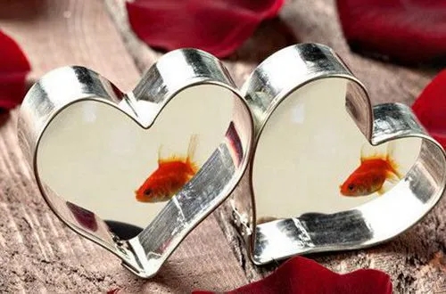 满足幸福的唯美句子文案