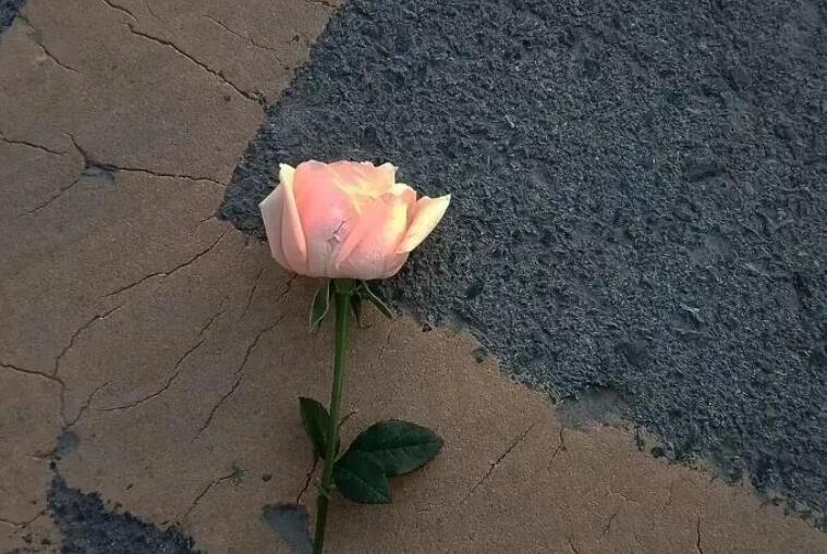 安慰别人心态放好的句子文案