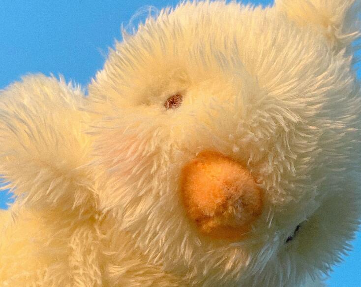 形容自己憨憨的句子文案