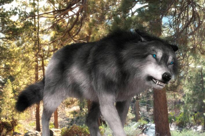 狼道经典语录文案