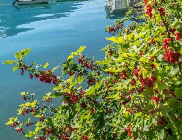 感谢粉丝一路相随的话