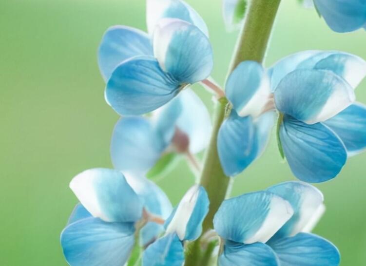 朋友圈简短戳心的话