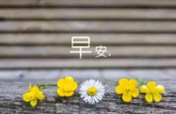 给客户发早安简短的句子文案