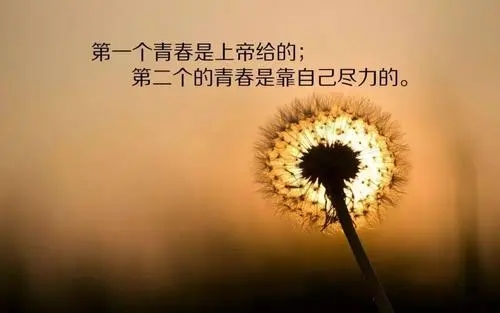 女人的生活感悟短语