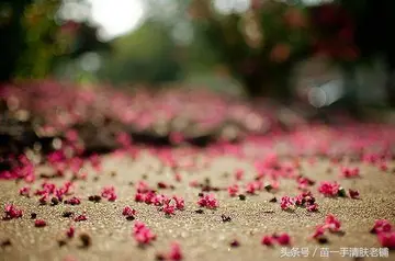 健康养生的句子文案