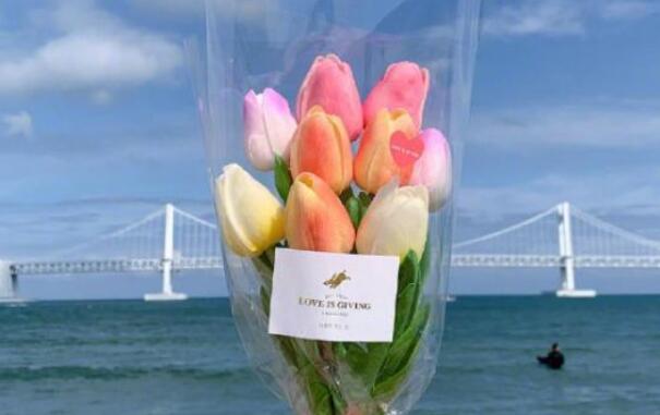 节日快乐的说说的句子文案