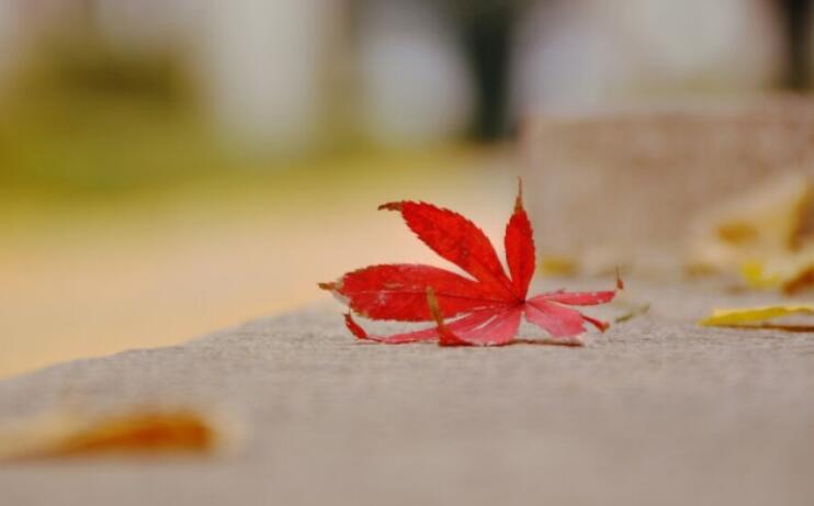 别高估自己的经典句子文案