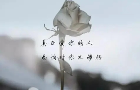 悲伤委屈的句话