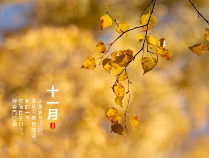 十一月你好朋友圈正能量