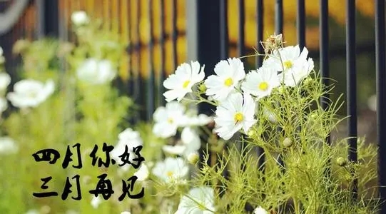 三月再见四月你好的句子文案