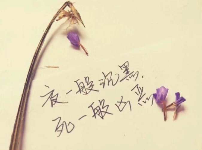 一句伤心的句子文案夜深