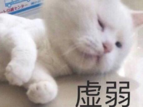 又酷又幽默的句子文案