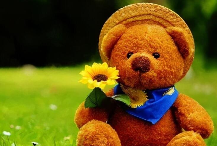 小朋友告别幼儿园感言简短