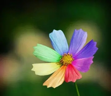 客户周末问候语及关心话语