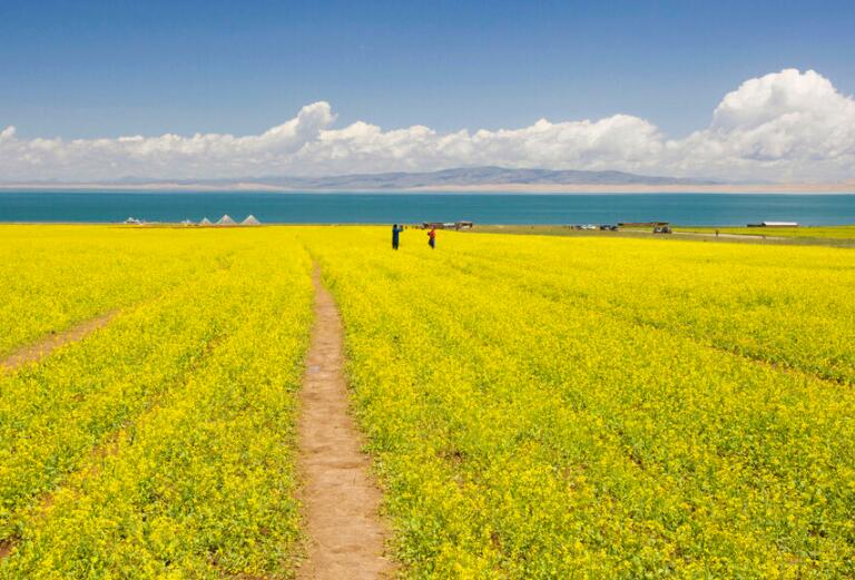 这一生只为你的句子文案