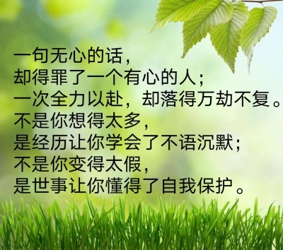 有心与无心的经典句子文案