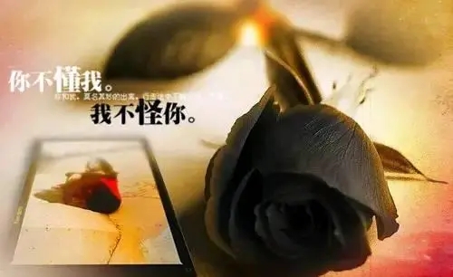 脆弱不堪的爱情句子文案