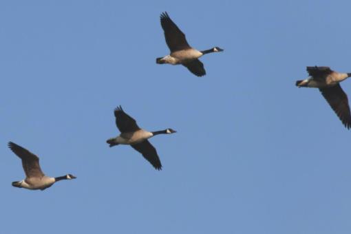 迷茫的诗句文案心境