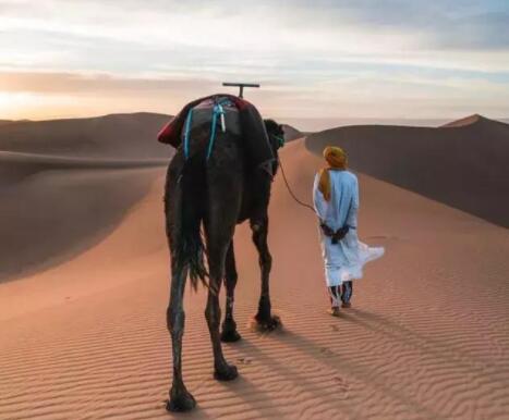 关于出去旅游的好句子文案