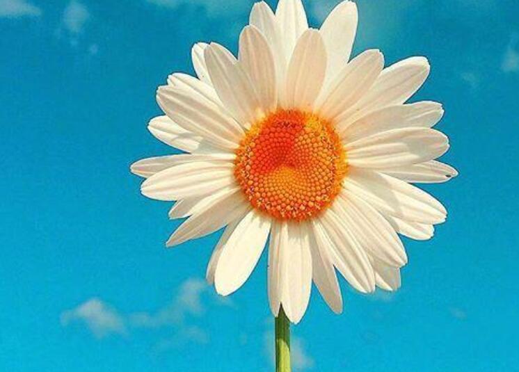 微笑的唯美短句8字