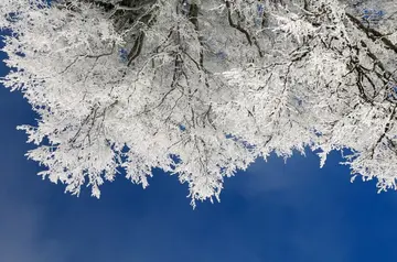 关于冬天五六个字的短句