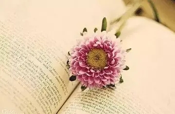 不负好时光的唯美句子文案