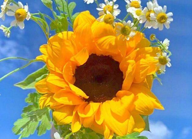 充满希望的句子文案八个字